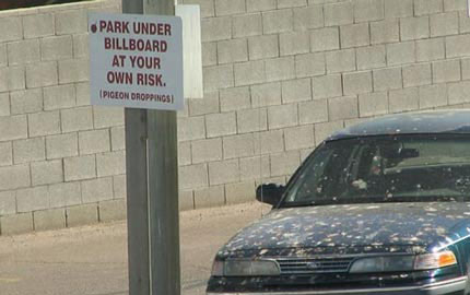 Park under billboard at your own risk