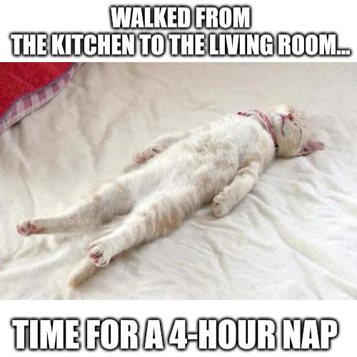 4 hour nap