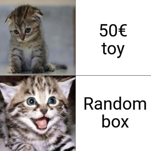 50 € Toy