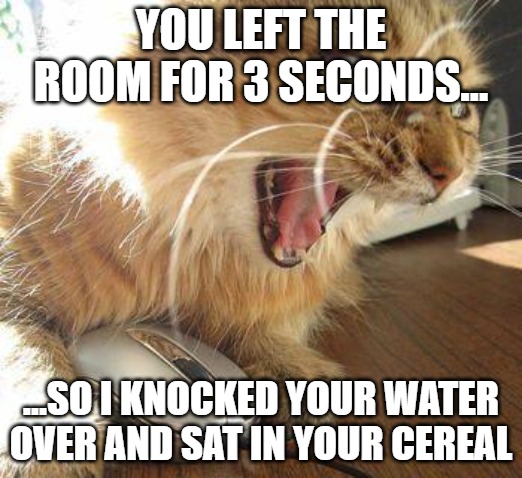 You left the room for 3 seconds…