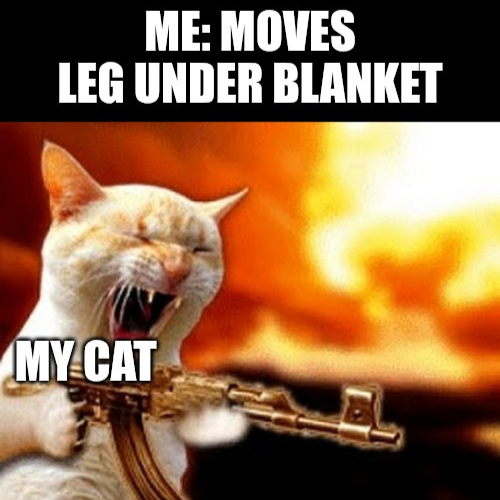 Legs Under Blanket
