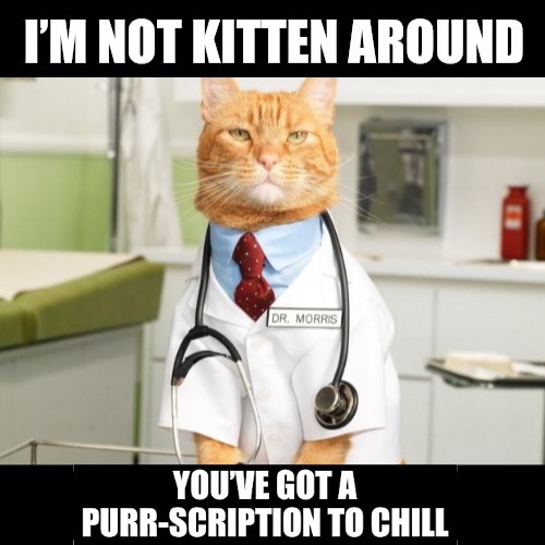 Purrr-scription