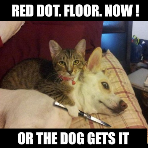 Red dot! Now!