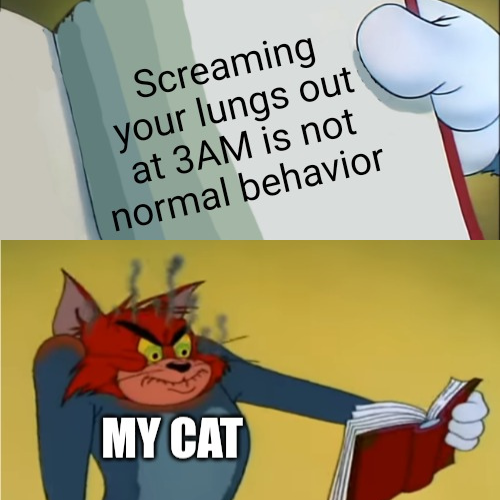 Screaming At 3 AM